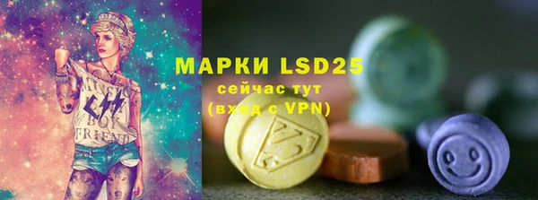 прущие грибы Кинешма