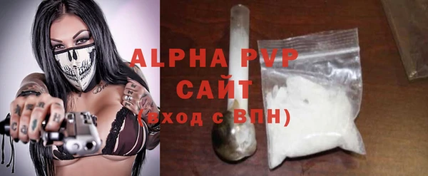 стаф Алексин