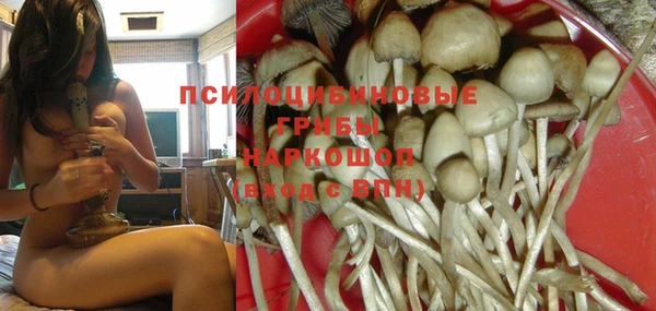 стаф Алексин