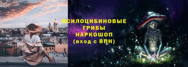 МДПВ Алзамай